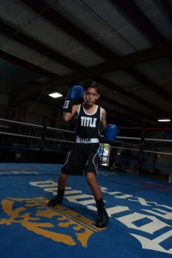 TITLE Boxing USA Boxing Competition Gloves - Elastic 26 TITLE Boxing USA Boxing Competition Gloves - Elastic -Nike Sales Shop ACGESBL 1