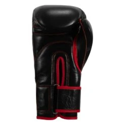TITLE Boxing Throwback 1998 Anniversary Bag Glove -Nike Sales Shop AVTFBG BK RD 04