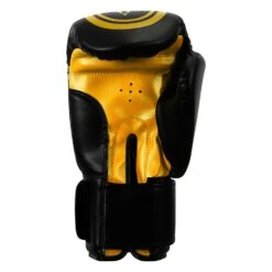 TITLE Classic Speed Boxing Gloves -Nike Sales Shop CABG12 BK GD 4