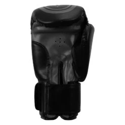 TITLE Classic Speed Boxing Gloves -Nike Sales Shop CABG12 BK GR 4