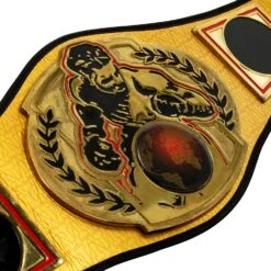 TITLE Boxing Championship Belt -Nike Sales Shop CLTB134 03