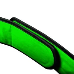 TITLE Boxing World Boxing Champion Title Belt -Nike Sales Shop CLTB20 GN 3