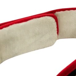 TITLE Boxing World Championship Title Belt -Nike Sales Shop CLTB201 BK 5