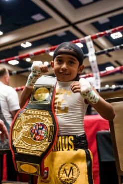 TITLE Boxing Triple Platinum Title Belt -Nike Sales Shop CLTB203BK 2