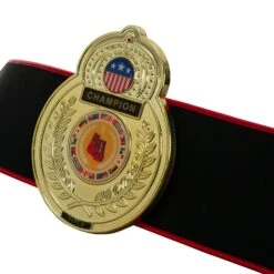 TITLE Boxing Old School Title Belt -Nike Sales Shop CLTB207 3