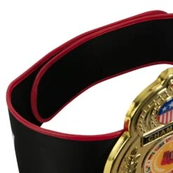 TITLE Boxing Old School Title Belt -Nike Sales Shop CLTB207 4