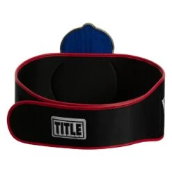 TITLE Boxing Old School Title Belt -Nike Sales Shop CLTB207 5