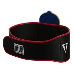 TITLE Boxing Old School Title Belt -Nike Sales Shop CLTB207 6