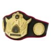 TITLE Boxing Triumphant Wings Of Victory Belt -Nike Sales Shop CLTB212 BK 1