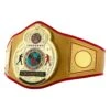 TITLE Boxing Gold Flash Title Belt -Nike Sales Shop CLTB215 GD 1