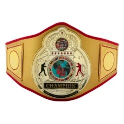 TITLE Boxing Gold Flash Title Belt -Nike Sales Shop CLTB215 GD 2
