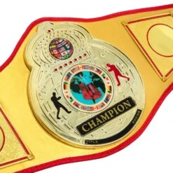 TITLE Boxing Gold Flash Title Belt -Nike Sales Shop CLTB215 GD 3
