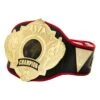 Title Boxing Torch Belt -Nike Sales Shop CLTB25 1