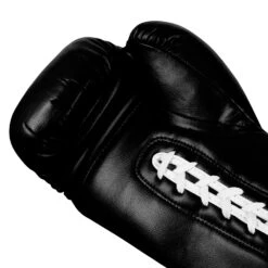 TITLE Boxing Legacy Autograph Gloves 2.0 -Nike Sales Shop EABG2 BK 4
