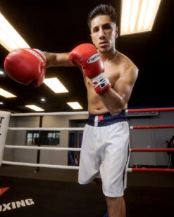 Fighting Professional Boxing Trunks -Nike Sales Shop FPSTWHBL