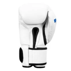 Fighting Fury Professional Training Gloves 40 Fighting Fury Professional Training Gloves -Nike Sales Shop FSFTGE WH 04