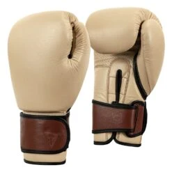TITLE Boxing Honorary Bag Gloves -Nike Sales Shop GOSBG CRL BNL BK 2