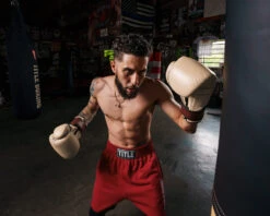 TITLE Boxing Honorary Bag Gloves -Nike Sales Shop GOSBGTNMR 1