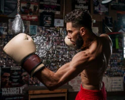 TITLE Boxing Honorary Bag Gloves -Nike Sales Shop GOSBGTNMR 3