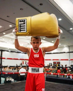 TITLE Boxing Jumbo Boxing Gloves 2.0 -Nike Sales Shop JBG2GD 1