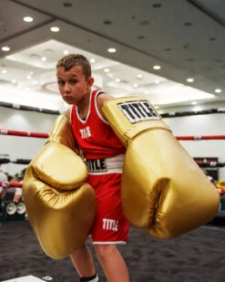 TITLE Boxing Jumbo Boxing Gloves 2.0 -Nike Sales Shop JBG2GD 2