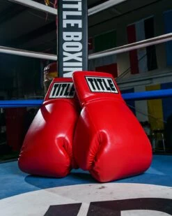 TITLE Boxing Jumbo Boxing Gloves 2.0 -Nike Sales Shop JBG2RD 3