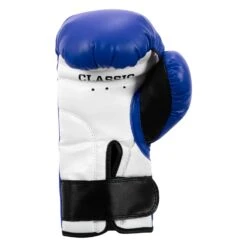 TITLE Classic Kid & Youth Boxing Gloves 2.0 -Nike Sales Shop KGLV2 BL WH BK 04