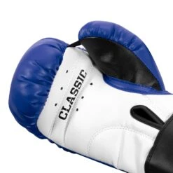 TITLE Classic Kid & Youth Boxing Gloves 2.0 -Nike Sales Shop KGLV2 BL WH BK 05
