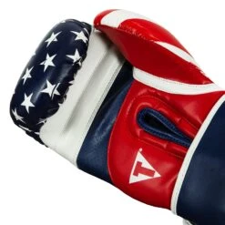 TITLE Boxing Liberty Bag Gloves -Nike Sales Shop LBTBG RD WH BL 5
