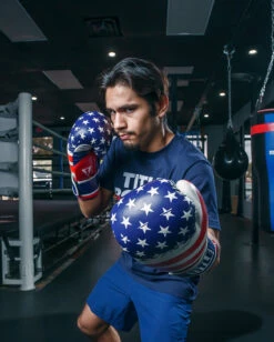 TITLE Boxing Liberty Bag Gloves -Nike Sales Shop LBTBGRDWHBL 3