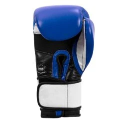 TITLE Boxing Premium Leather Performance Training Gloves 27 TITLE Boxing Premium Leather Performance Training Gloves -Nike Sales Shop LPTG BL WH BK 004