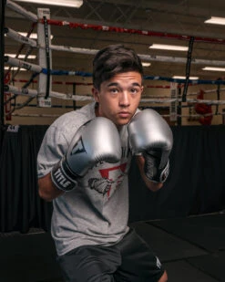 TITLE Platinum Prolific Training Gloves 27 TITLE Platinum Prolific Training Gloves -Nike Sales Shop PLTGSVBK 1 2