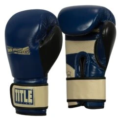 TITLE Boxing Rock Steady Leather Training Gloves -Nike Sales Shop RSBVLTTG BL TN 2