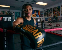 TITLE Boxing Sugar Ray Leonard Leather Bag Gloves 23 TITLE Boxing Sugar Ray Leonard Leather Bag Gloves -Nike Sales Shop SRLBG 2 1