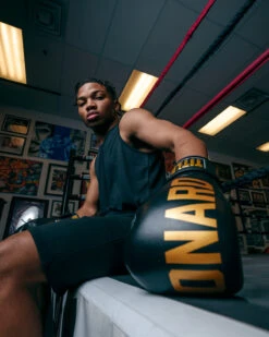 TITLE Boxing Sugar Ray Leonard Leather Bag Gloves 22 TITLE Boxing Sugar Ray Leonard Leather Bag Gloves -Nike Sales Shop SRLBG 2 2