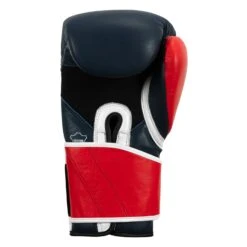 TITLE Boxing Sugar Ray Leonard 1976 Montreal Special Edition Leather Training Gloves -Nike Sales Shop SRLOTG 4