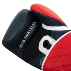 TITLE Boxing Sugar Ray Leonard 1976 Montreal Special Edition Leather Training Gloves -Nike Sales Shop SRLOTG 5