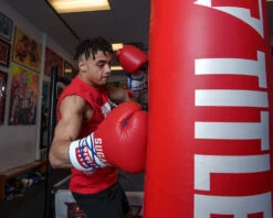 TITLE Boxing Sugar Ray Leonard Signature Leather Sparring Gloves -Nike Sales Shop SRLSLSG 4 3