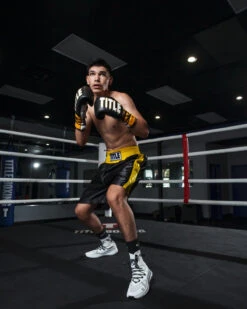 TITLE Boxing Edge Boxing Trunks 2.0 -Nike Sales Shop TBTC2BKGD