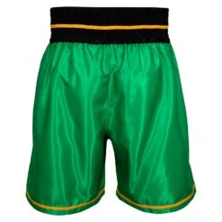 WBC By TITLE Boxing Professional Boxing Trunks -Nike Sales Shop WBCBT GN BK 3