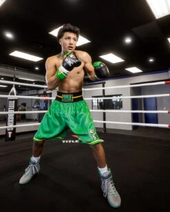 WBC By TITLE Boxing Professional Boxing Trunks -Nike Sales Shop WBCBTGN