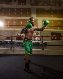 WBC By TITLE Boxing Professional Boxing Trunks -Nike Sales Shop WBCBTGRBK 2