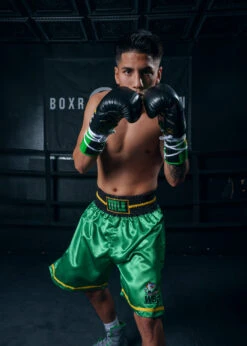WBC By TITLE Boxing Professional Boxing Trunks -Nike Sales Shop WBCBTGR 3