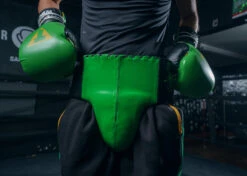 WBC By TITLE Boxing Groin Protector -Nike Sales Shop WBCGPGR 1