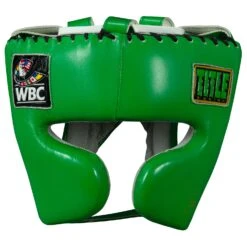 WBC By TITLE Boxing Sparring Headgear 27 WBC By TITLE Boxing Sparring Headgear -Nike Sales Shop WBCHG GN 2