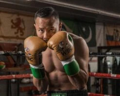 WBC By TITLE Boxing Jose Sulaiman Leather Gloves -Nike Sales Shop WBCJPFG