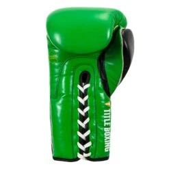 WBC By TITLE Boxing Sparring Gloves -Nike Sales Shop WBCSG GN BK 04