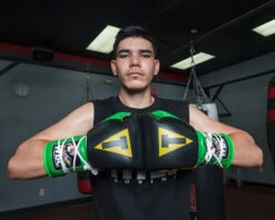 WBC By TITLE Boxing Sparring Gloves -Nike Sales Shop WBCSGBKGNGD 2