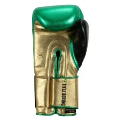 WBC By TITLE Boxing Green Belt Bag Gloves -Nike Sales Shop WGBBG GN GD BK 4