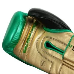 WBC By TITLE Boxing Green Belt Bag Gloves -Nike Sales Shop WGBBG GN GD BK 5